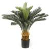 Emerald Artificial Cycas Revoluta Tree - 80 cm | Hipo Market