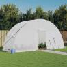 Greenhouse with Steel Frame White 12 m² 6x2x2.85 m Colour white Size 6 x 2 x 2.85 m Quantity in Package 1 