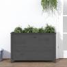 Garden Raised Bed Grey 119.5x40x78 cm Solid Wood Pine Colour grey pine Size 119.5 x 40 x 78 cm Quantity in Package 1 