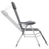 Folding Camping Chairs with Footrests - 2 pcs Grey Textilene