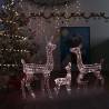 Acrylic Reindeer Family Christmas Decoration 300 LED Warm White Colour warm white Quantity in Package 1 