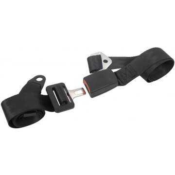 Carpoint 2-Point Adjustable Safety Belt - Black | HipoMarket