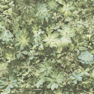 Noordwand Evergreen Succulent Wallpaper - Green & Beige