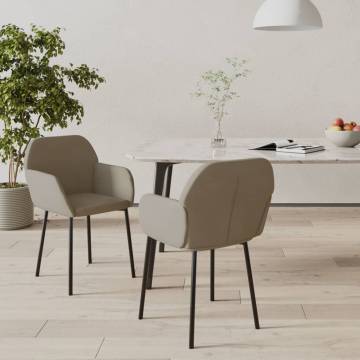 Light Grey Velvet Dining Chairs - Set of 2 | HipoMarket