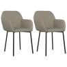 Light Grey Velvet Dining Chairs - Set of 2 | HipoMarket