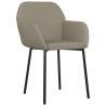 Light Grey Velvet Dining Chairs - Set of 2 | HipoMarket