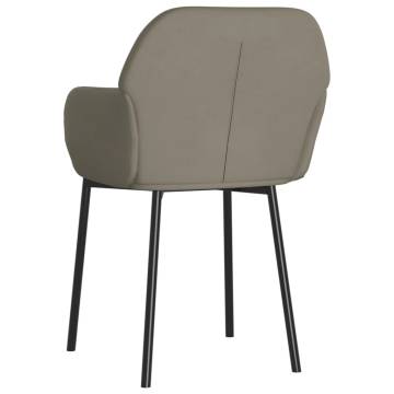 Light Grey Velvet Dining Chairs - Set of 2 | HipoMarket