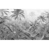 Komar Photo Mural Amazonia Black and White - 400x250 cm