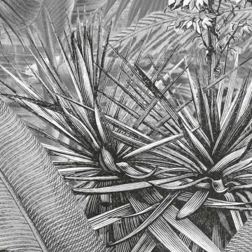 Komar Photo Mural Amazonia Black and White - 400x250 cm