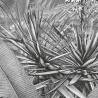 Komar Photo Mural Amazonia Black and White - 400x250 cm