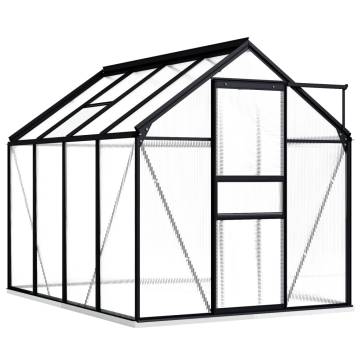 Anthracite Aluminium Greenhouse | 4.75 m² Capacity - HipoMarket