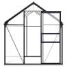 Anthracite Aluminium Greenhouse | 4.75 m² Capacity - HipoMarket