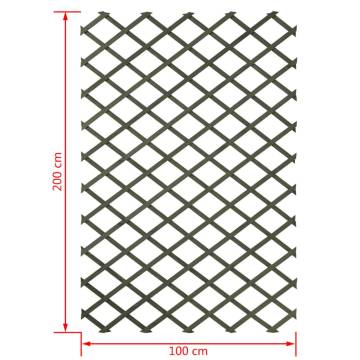 Nature Garden Trellis 100x200 cm Wood Green - Ideal for Climbing Plant