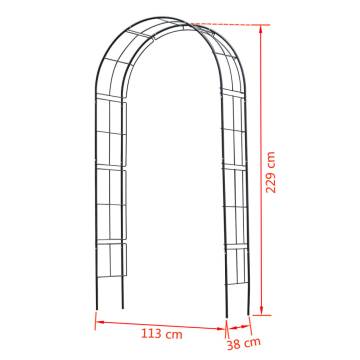 Nature Garden Arch Metal 229x38 cm - Black Decorative Support