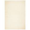 HUARTE Short Pile Soft Washable Cream Rug 160x230 cm | Hipomarket