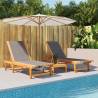 Sun Loungers 2 pcs Black Solid Wood Acacia and Textilene Colour black Quantity in Package 1 Model 2x sun lounger 