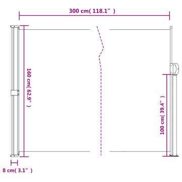 Retractable Side Awning Black 160x300 cm - Privacy & Style