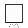 Projection Screen with Tripod 47" - Perfect for Presentations