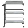 Kitchen Trolley Grey Sonoma - Stylish & Practical Storage