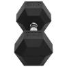 27.5 kg Cast Iron Dumbbell - Durable & Versatile