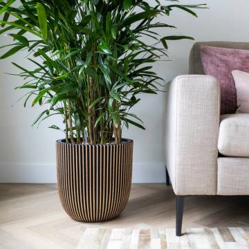 Capi Planter Groove 43x41 cm Black and Gold - Eco-Friendly Design