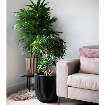 Capi Planter Groove 43x41 cm Black and Gold - Eco-Friendly Design