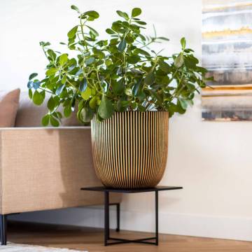 Capi Planter Groove 43x41 cm Black and Gold - Eco-Friendly Design