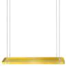 Esschert Design Hanging Plant Tray - Rectangular Gold L