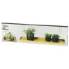 Esschert Design Hanging Plant Tray - Rectangular Gold L