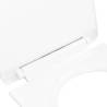 Soft-Close Toilet Seat with Quick Release - White