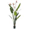 Emerald Artificial Strelitzia Tree with 4 Flowers - 150 cm