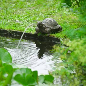 Ubbink Spitter Garden Fountain Turtle - Decorative Water Feature