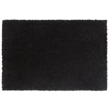 2 Pcs Black Tufted Coir Door Mats - 40x60 cm | Hipo Market