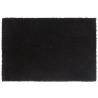 2 Pcs Black Tufted Coir Door Mats - 40x60 cm | Hipo Market