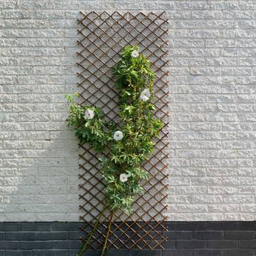 Nature Garden Trellis 60x180 cm - Natural Willow Brown