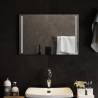 Stylish LED Bathroom Mirror 60x40 cm | Waterproof & Convenient