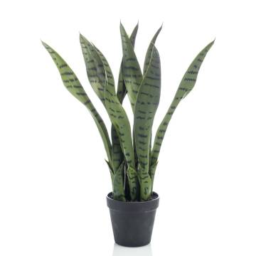 Emerald Artificial Sansevieria 55 cm in Pot - Green Your Space