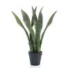 Emerald Artificial Sansevieria 55 cm in Pot - Green Your Space