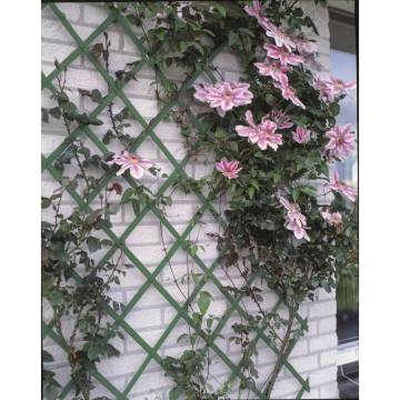 Nature Garden Trellis 100x200 cm - PVC Green - Hipomarket