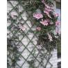 Nature Garden Trellis 100x200 cm - PVC Green - Hipomarket