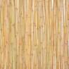 Bamboo Fence 300x100 cm - Natural Garden Barrier