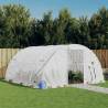 Greenhouse with Steel Frame White 16 m² 4x4x2 m Colour white Size 4 x 4 x 2 m Quantity in Package 1 