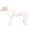 Soft XXL Plush Toy Sheep - Cuddly & Sturdy | Hipo Market