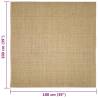 Sisal Rug for Scratching Post - 100x100 cm | Hipomarket