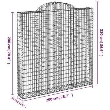 Arched Gabion Baskets - 2 pcs Galvanised Iron (200x30x200 cm)