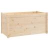 Garden Planter 100x50x50 cm Solid Pinewood - Durable & Stylish