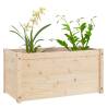 Garden Planter 100x50x50 cm Solid Pinewood - Durable & Stylish