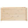 Garden Planter 100x50x50 cm Solid Pinewood - Durable & Stylish