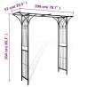 Durable Garden Arch - 200x52x204 cm for Climbing Plants