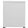 Light Grey Filing Cabinet - 46x62x72.5 cm Steel Design